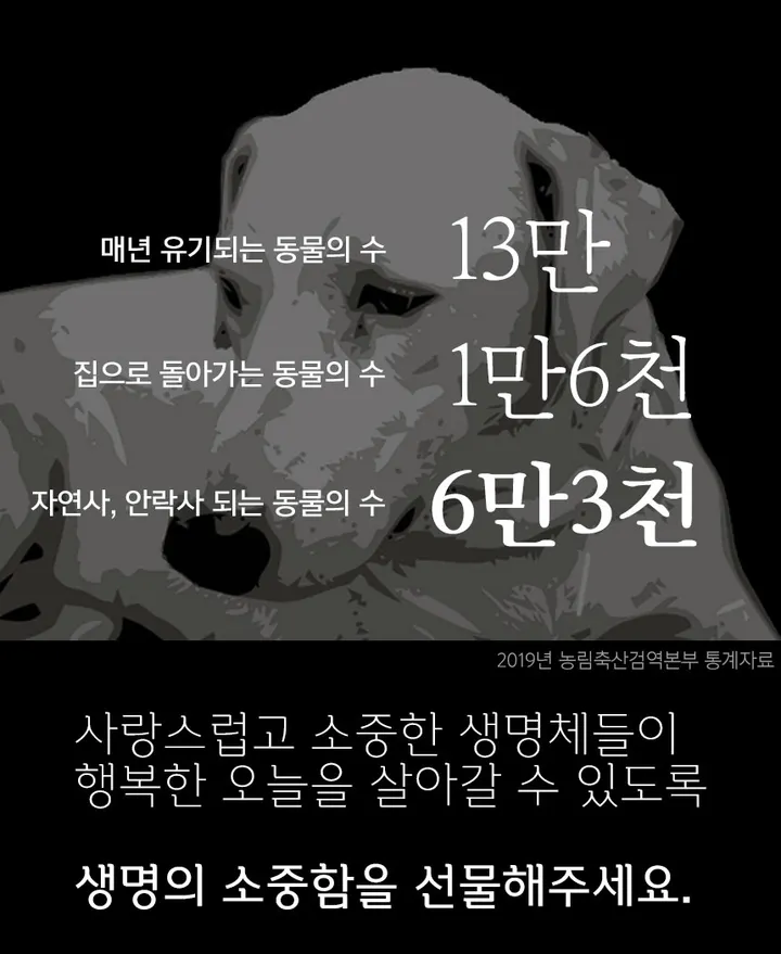 🐾누적후원2000만원❗🐶😺유기동물후원 기부 목걸이[스틱목걸이-사랑] 커플목걸이 커플템 커플아이템 우정목걸이 친구 여자친구 남자친구 생일 기념일 100일 선물 코디 추천 상세 이미지 3