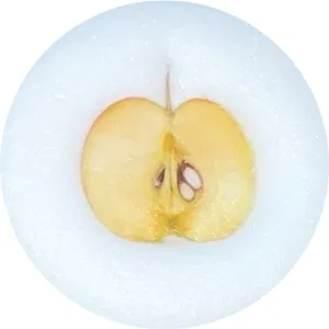 마켓 이미지