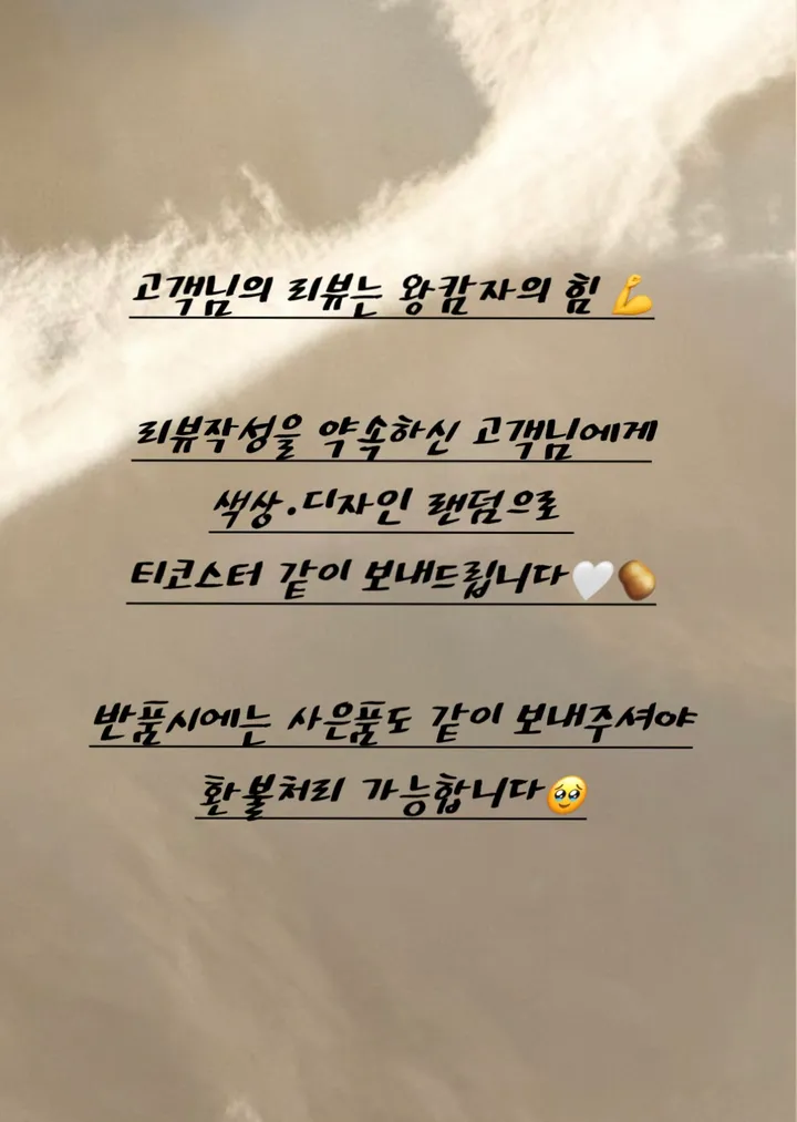 [자체제작] 셀린 자카드 카드지갑 동전지갑 교통카드지갑 고급스러운 카드지갑 여성카드지갑 상세 이미지 3