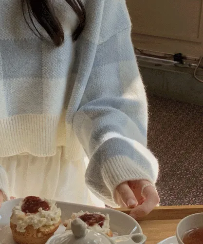 보송한 터치감의 크롭 체크 긴팔 니트 nt3698