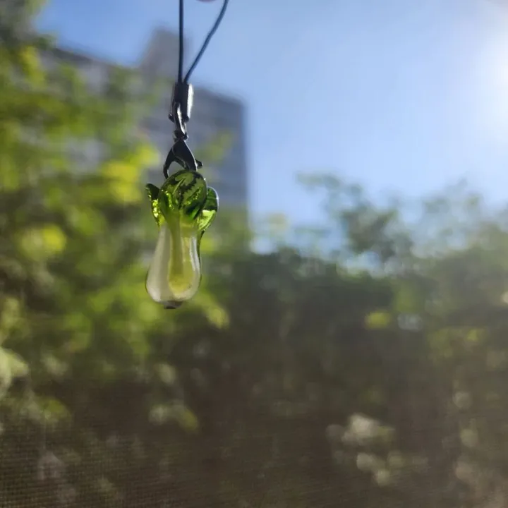☘️작고 소중한 청경채🥬 상세 이미지 24