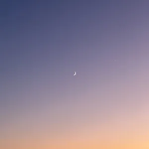 마켓 이미지