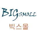 빅스몰