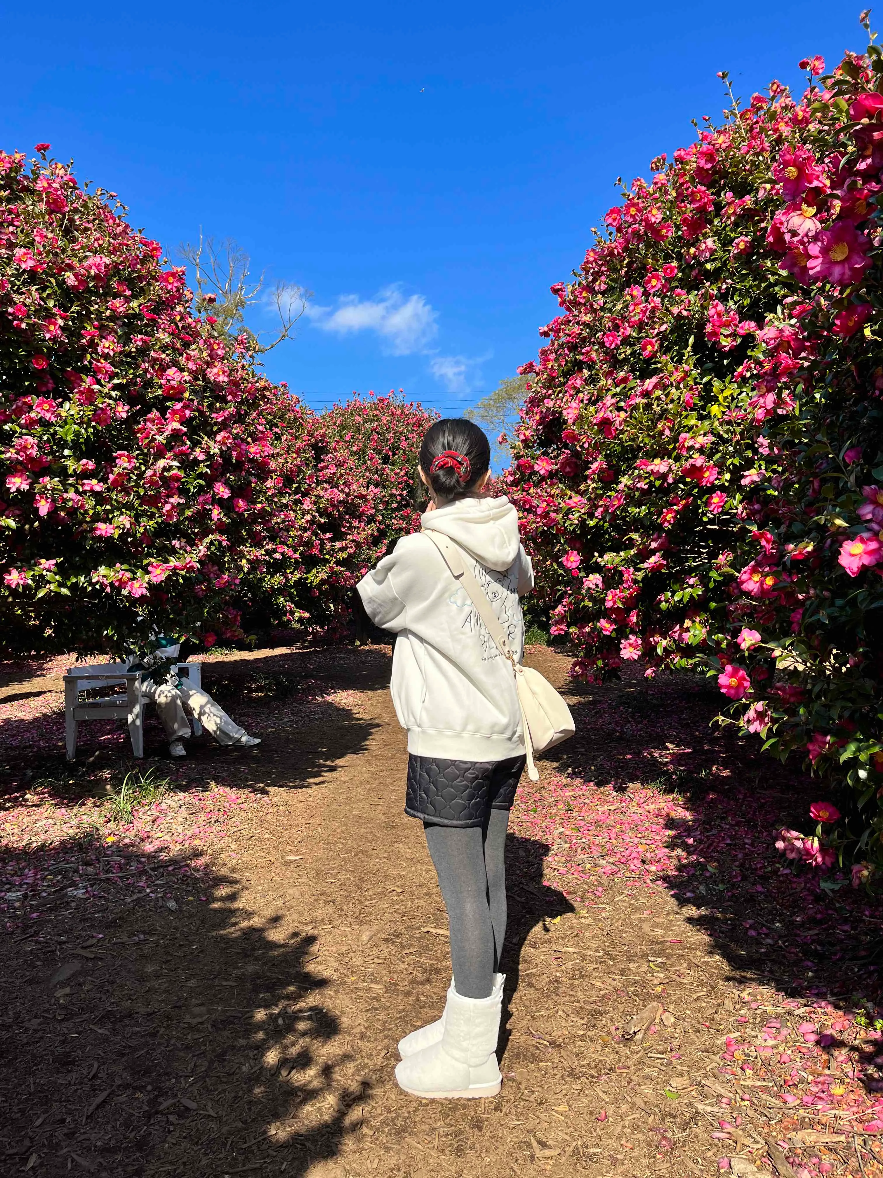 스타일 콘텐츠 이미지