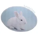마켓 이미지