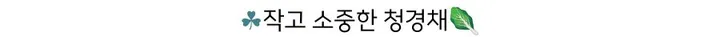 ☘️작고 소중한 청경채🥬 상세 이미지 17
