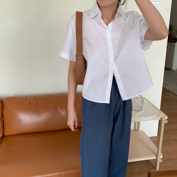 [비침X,베이직] 8컬러 제이 크롭 카라 코튼 반팔 셔츠 상세 이미지 18