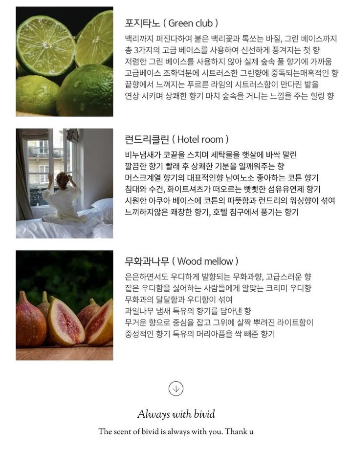 [선물포장] 비비드 피크닉 캔들 소품 집꾸미기 상세 이미지 6