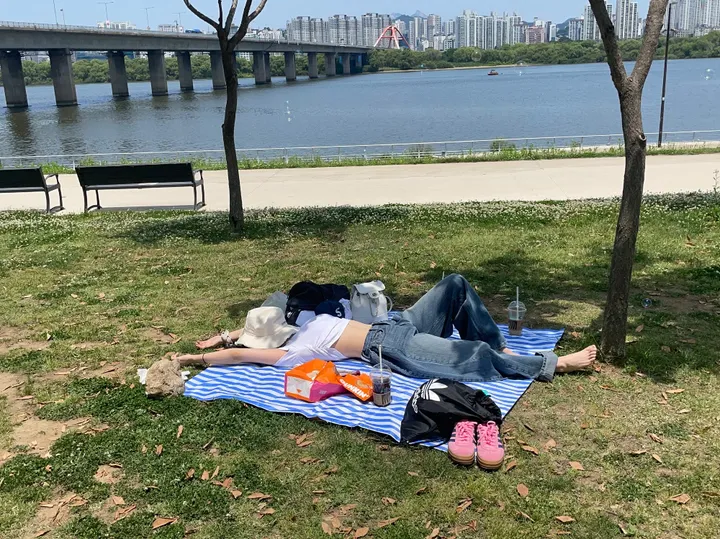 [모델전부소장&교복바지&폴딩데님]𝐄𝐥𝐥𝐞 𝐖𝐢𝐝𝐞 𝐏𝐓 상세 이미지 59