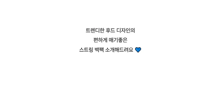 가방 -S1L29