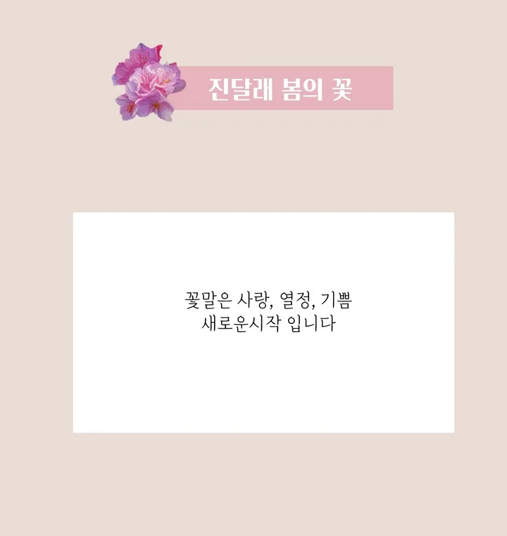 핸드메이드 전통 기법 꽃 8colors 써지컬 진주 매듭 팔찌 (사은품 증정) 상세 이미지 7