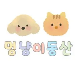 마켓 이미지