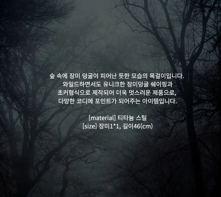악세사리 -S2L1