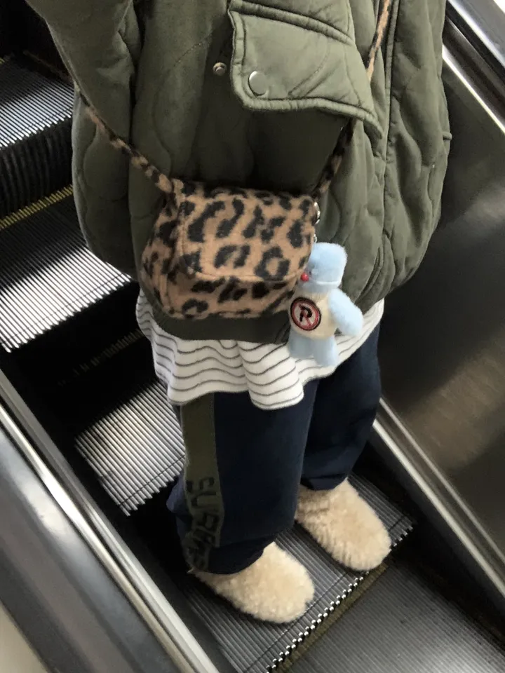 leopard mini bag (leopard) 상세 이미지 4