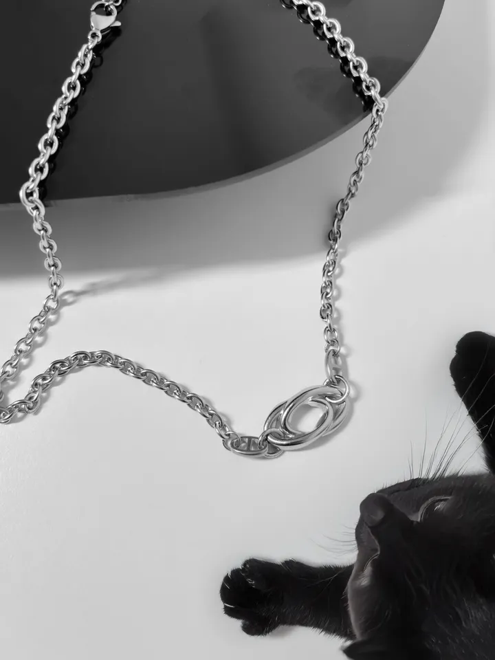 💥주문폭주! [🐈‍⬛당일발송] 더블 엘립스 목걸이 |  DOUBLE ELLIPSE NECKLACE 상세 이미지 5