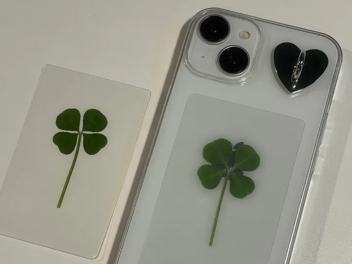 [케이스 세트🍀] 생화 네잎클로버카드 케이스 세트 Real clover card phonecase set  (행운선물/졸업선물/수능선물/스승의날선물/어버이날선물/친구선물) 상세 이미지 8