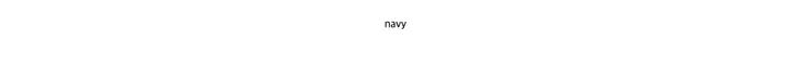 navy