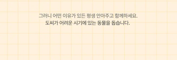 실크핏 에센셜 반팔 커플 잠옷 세트 상세 이미지 4