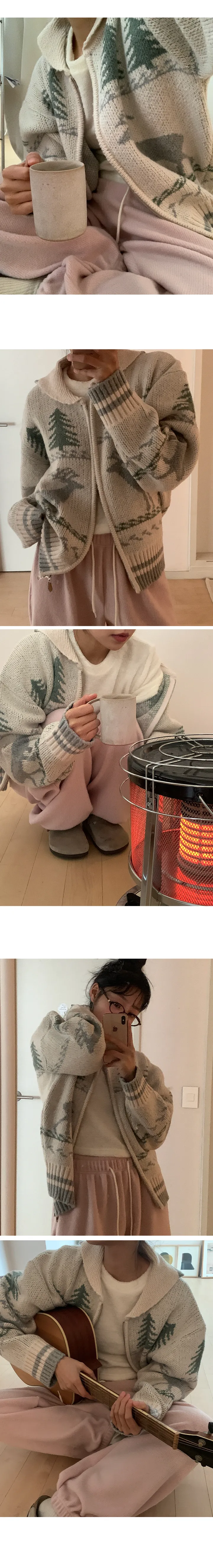 나이니 